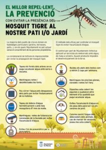 Consells de com evitar la presència del mosquit tigre al nostre pati i/o jardí.